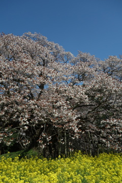 青空に