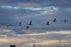 朝空に