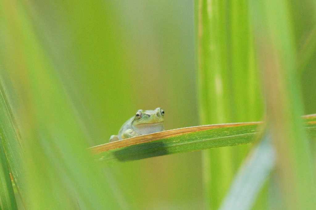梅雨の季節に