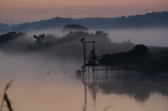 朝景　