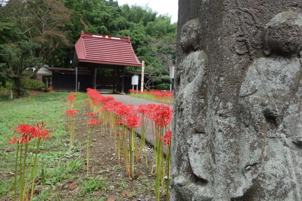 結縁寺にて