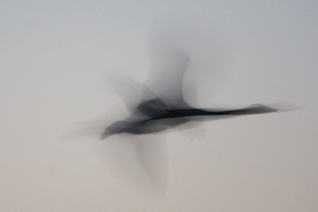夕闇の空へ