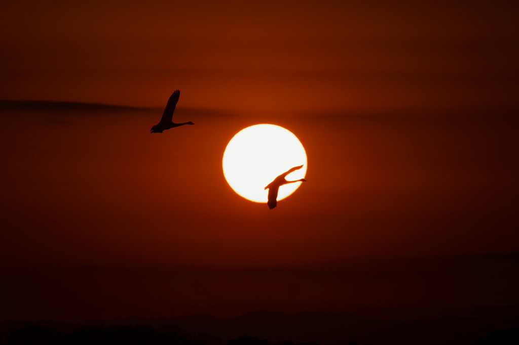 夕陽落ち行く中に
