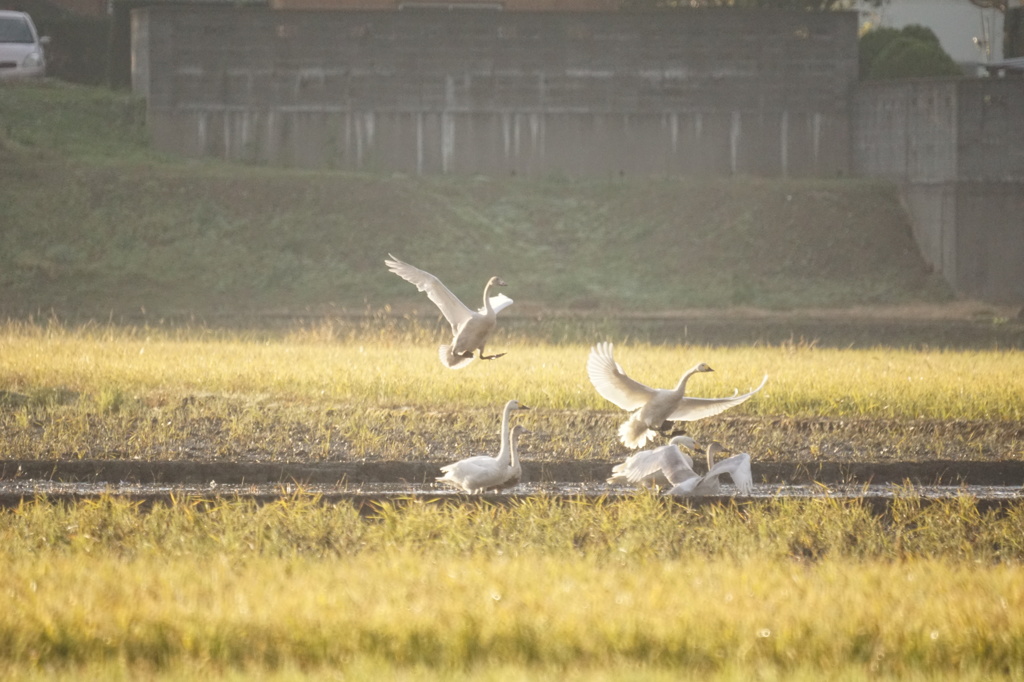 見慣れた風景に