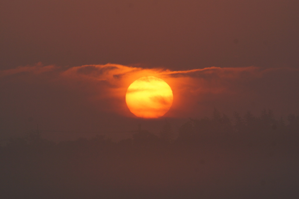 霞む朝陽