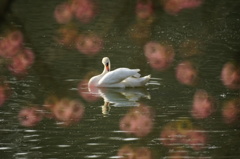 公園で