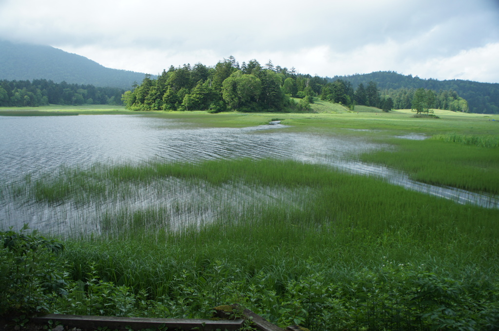 尾瀬景
