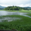 尾瀬景