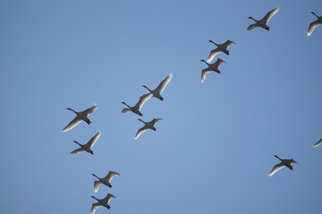 青空