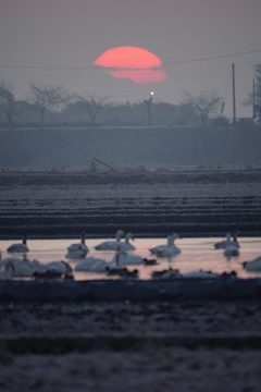 朝限りある時間 朝限りある時間