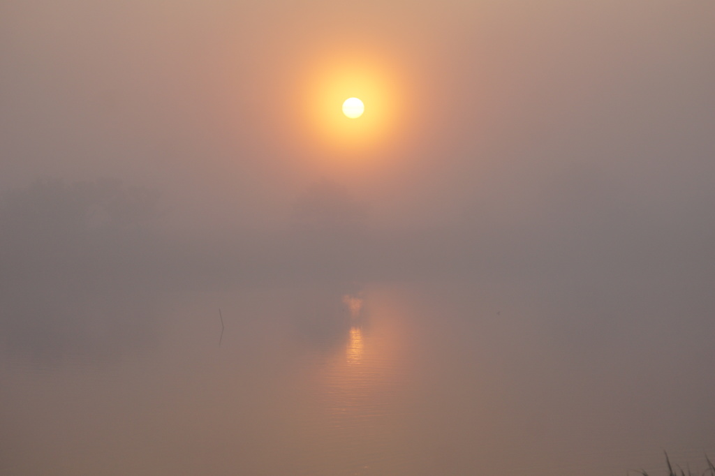 朝景　朝靄の中
