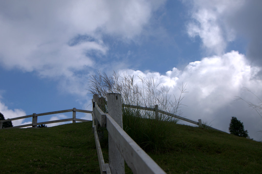 六甲山牧場