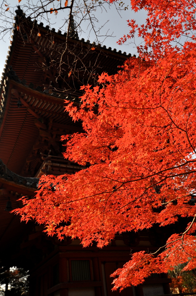 太山寺