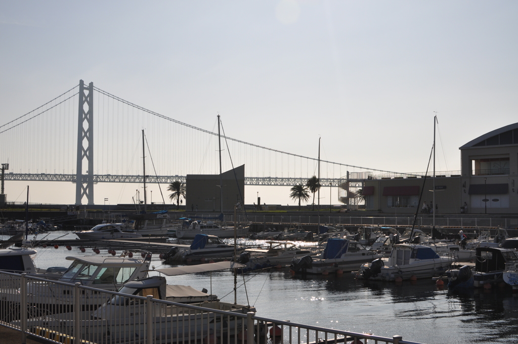 DSC_0024-001