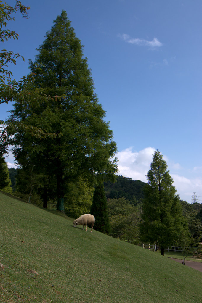 六甲山牧場