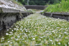 恥らう君が愛しくて・・・