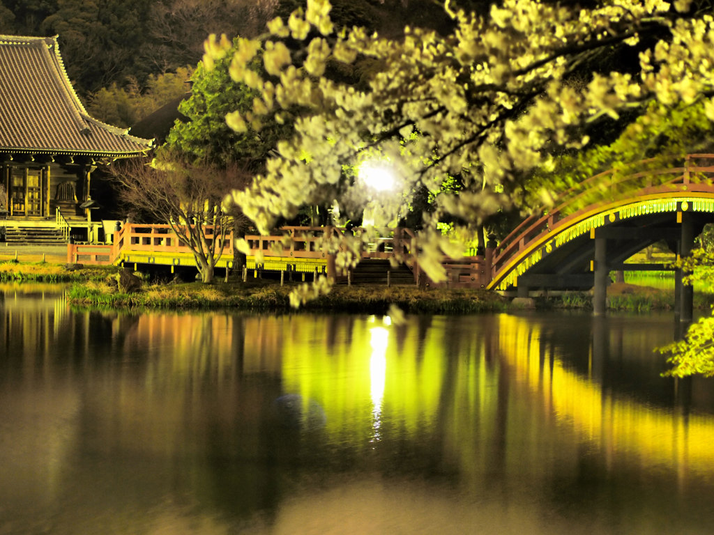 称名寺と桜…