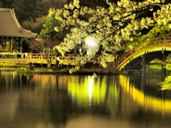 称名寺と桜…