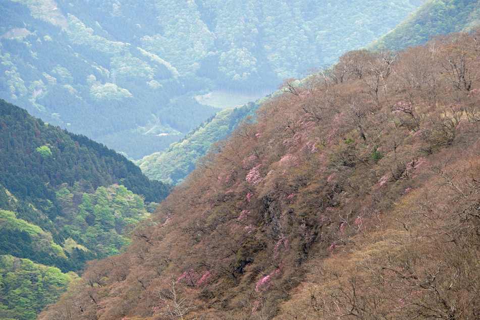 奥日光六方沢１