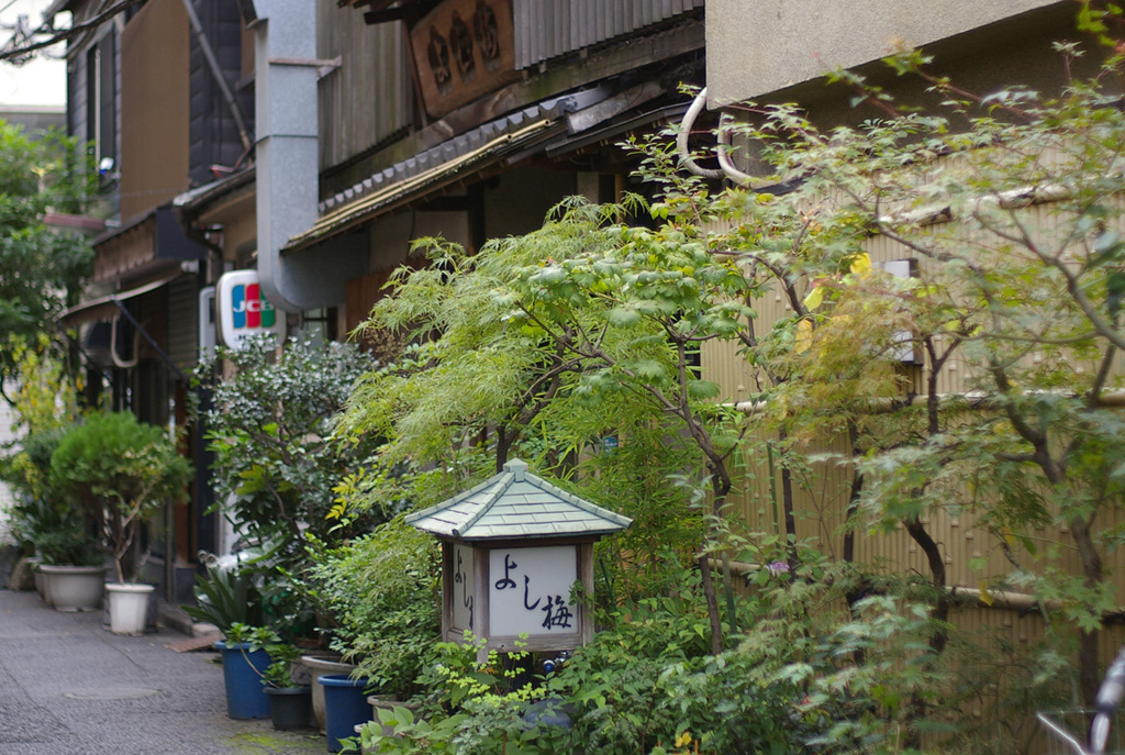 日本橋(M50mmF1.7)