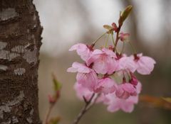 近くの公園で　1