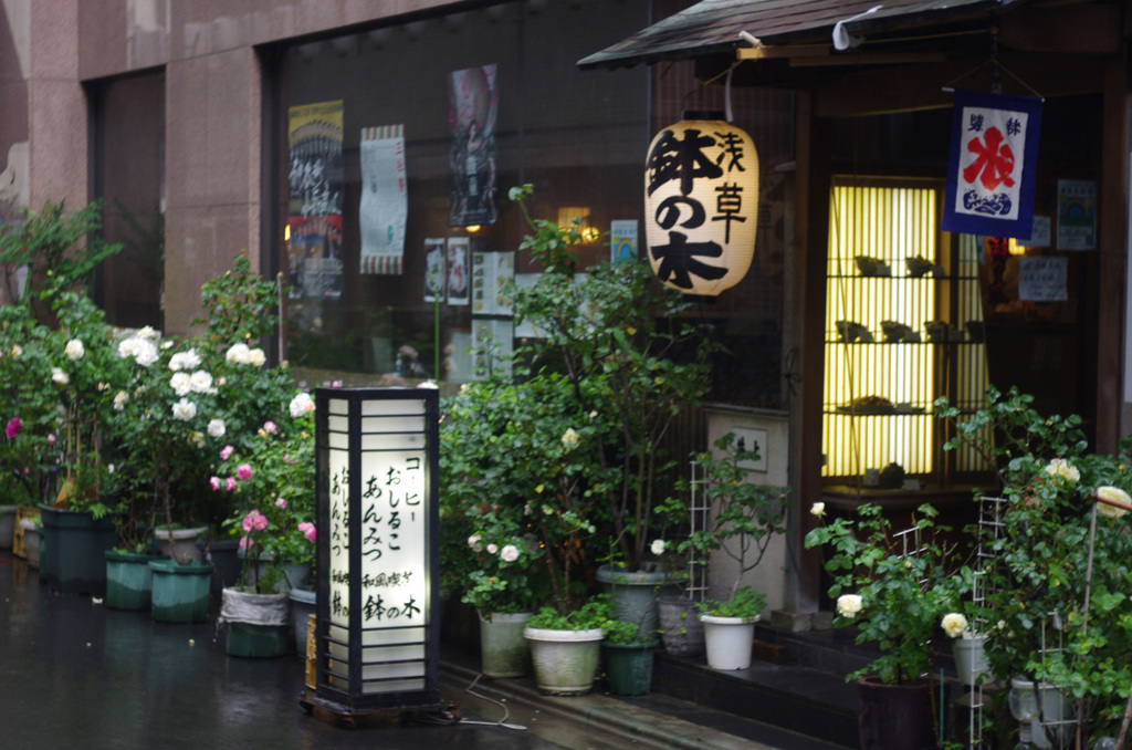 雨の浅草