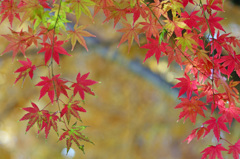 地元の公園で２