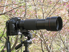 Tokina　AT-X 150～500mmF5,6 ￥5000なり。