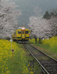 春雨のローカル線