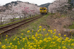 いすみ鉄道