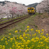 いすみ鉄道