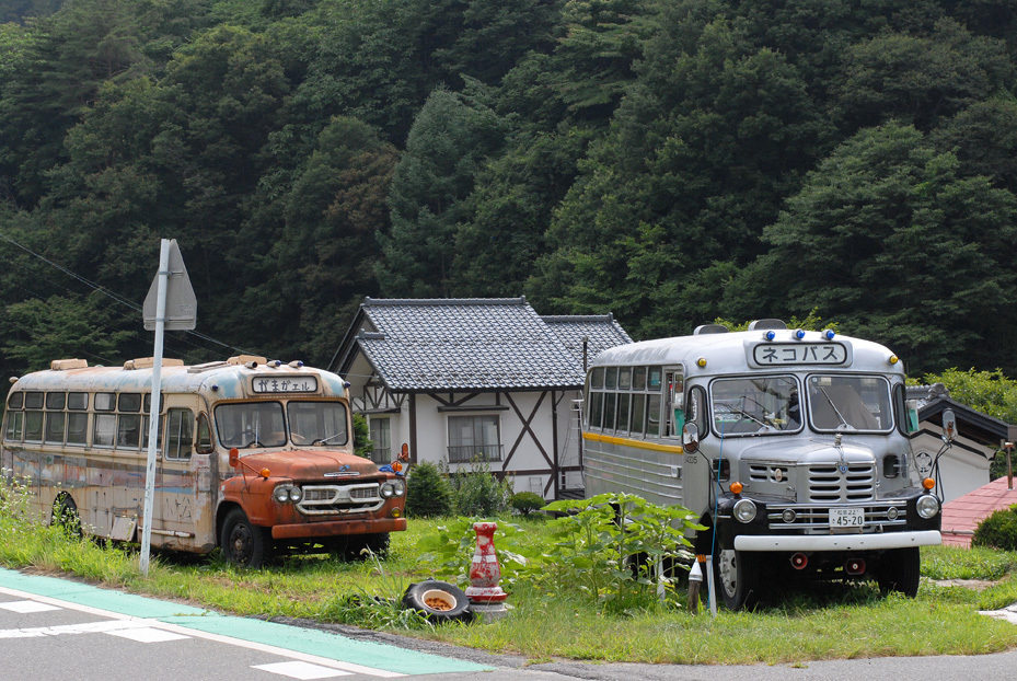 田舎の空き地で