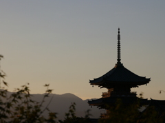 日本の夏♪