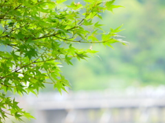 嵐山な日♪