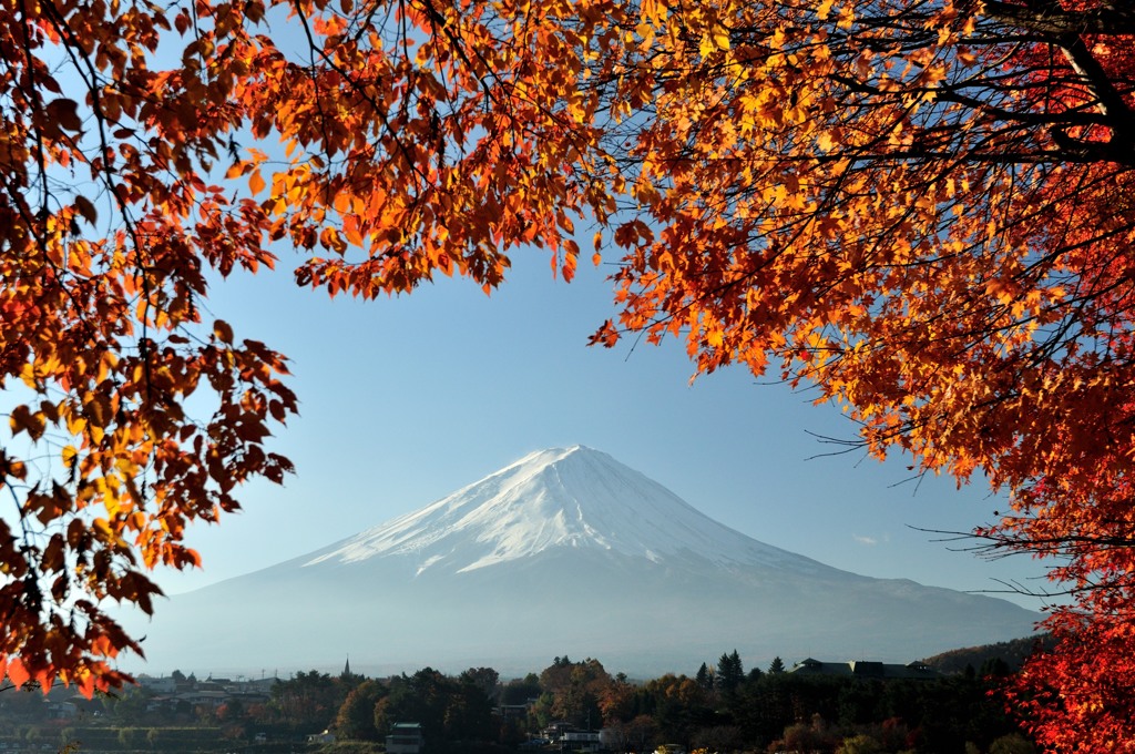 富士山と紅葉