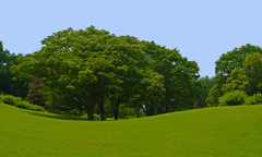 仙台市野草園