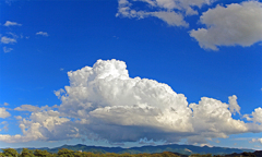 夏の雲