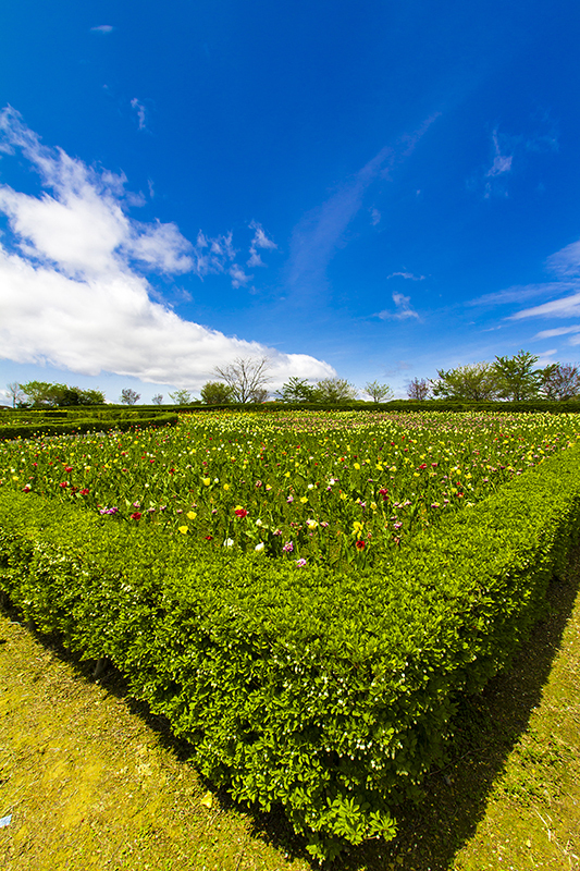 館ヶ森アーク牧場の花壇
