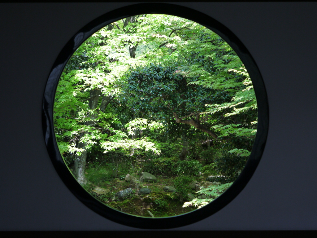悟りの窓
