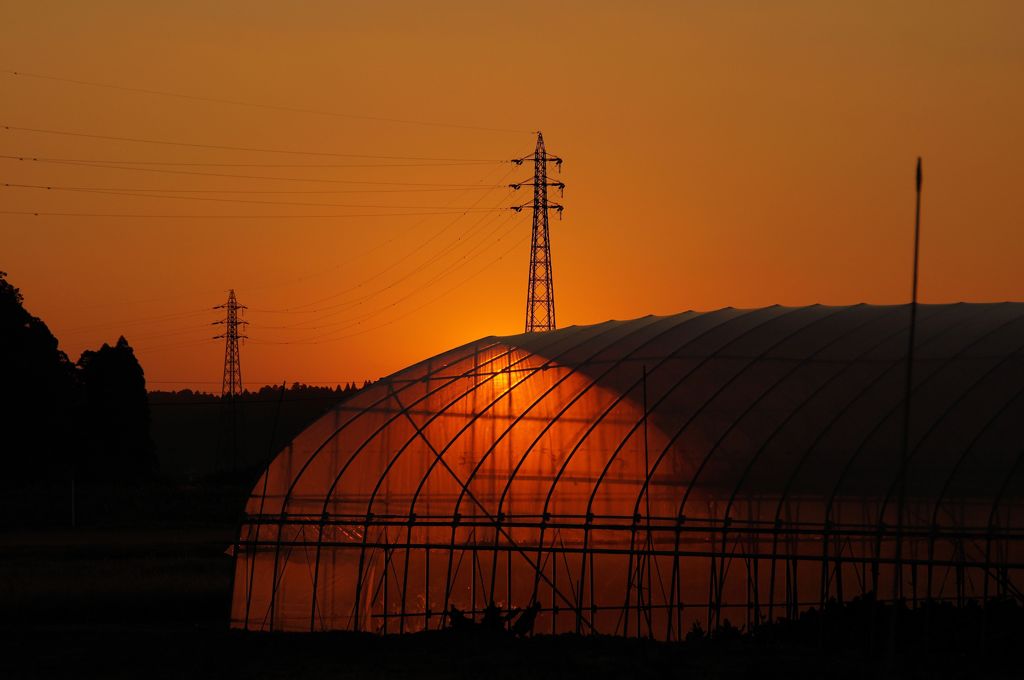 農村の夕景②