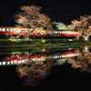 夜桜の駅