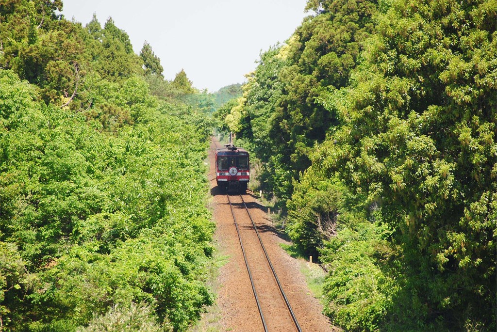 新緑の鹿島