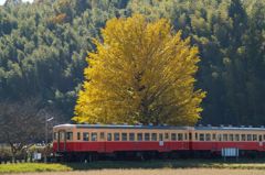 秋の小湊鉄道