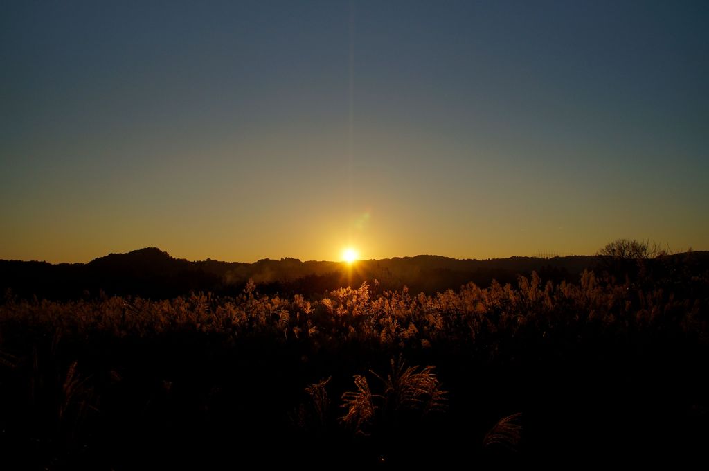 夕日とススキ