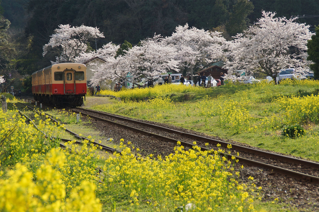 花咲く駅