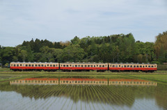 田植えの頃