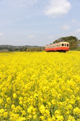 春色列車