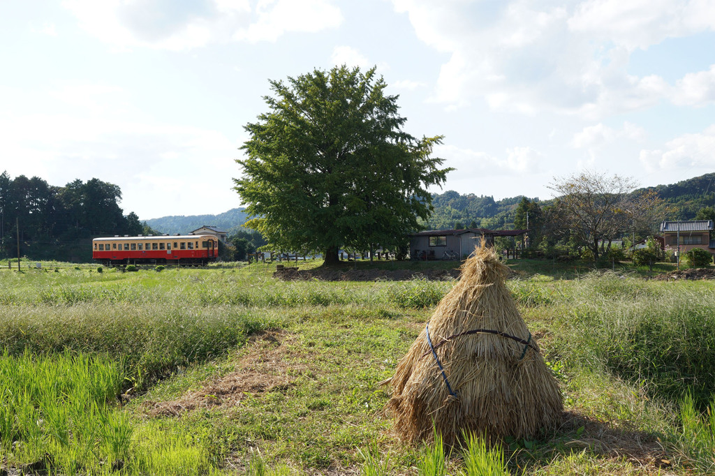 稲藁のある風景