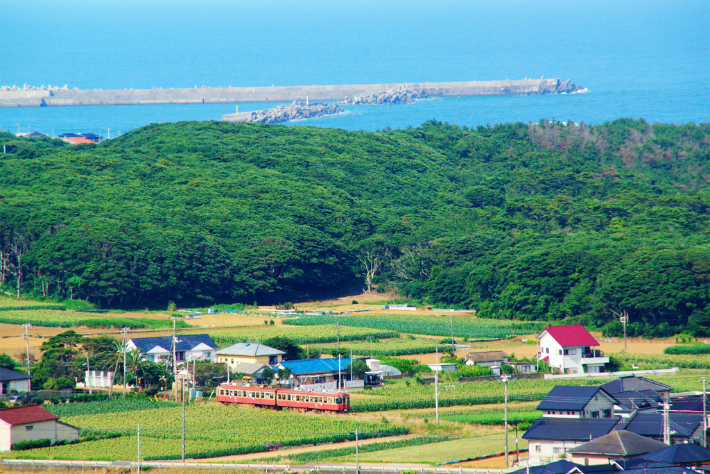 海と緑と小さな電車