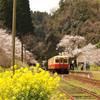 花咲く駅